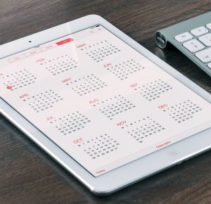 monthly expenses